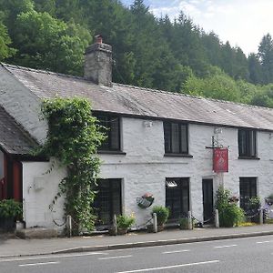 Dragon Bed And Breakfast